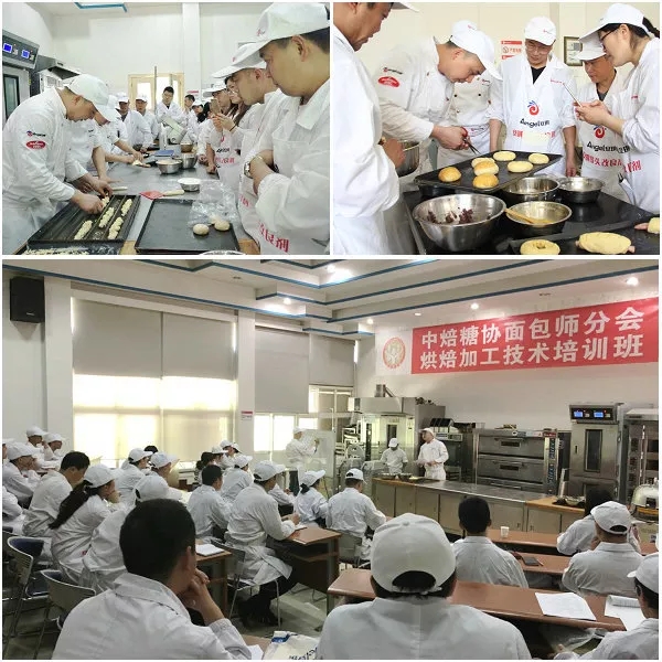 云顶集团4008(中国)官方网站