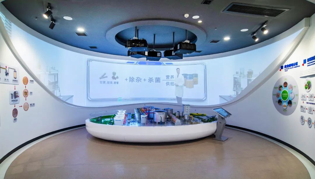 云顶集团4008基于开创并深耕有机氮源市场