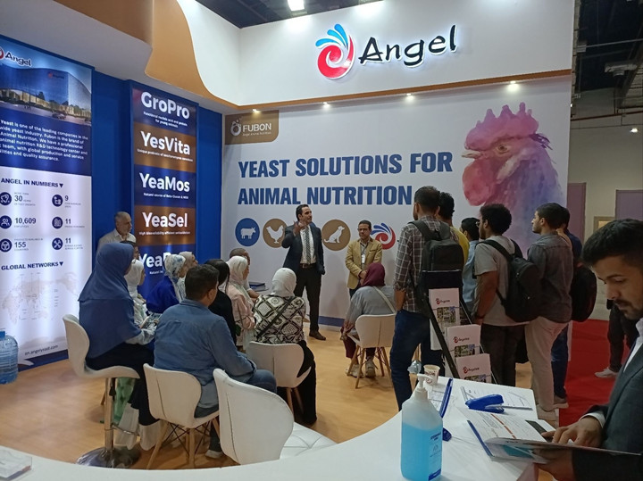 云顶集团4008加入埃及AGRENA展