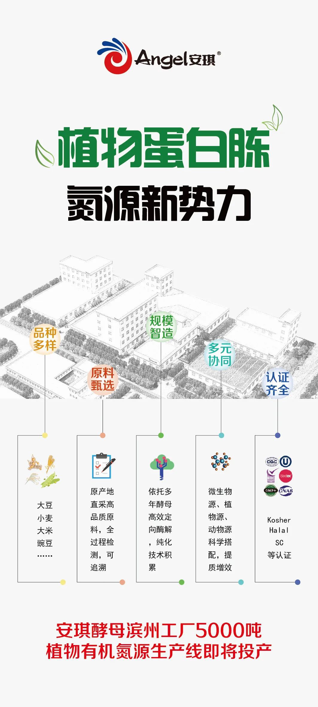 云顶集团4008高效的植物氮源产品
