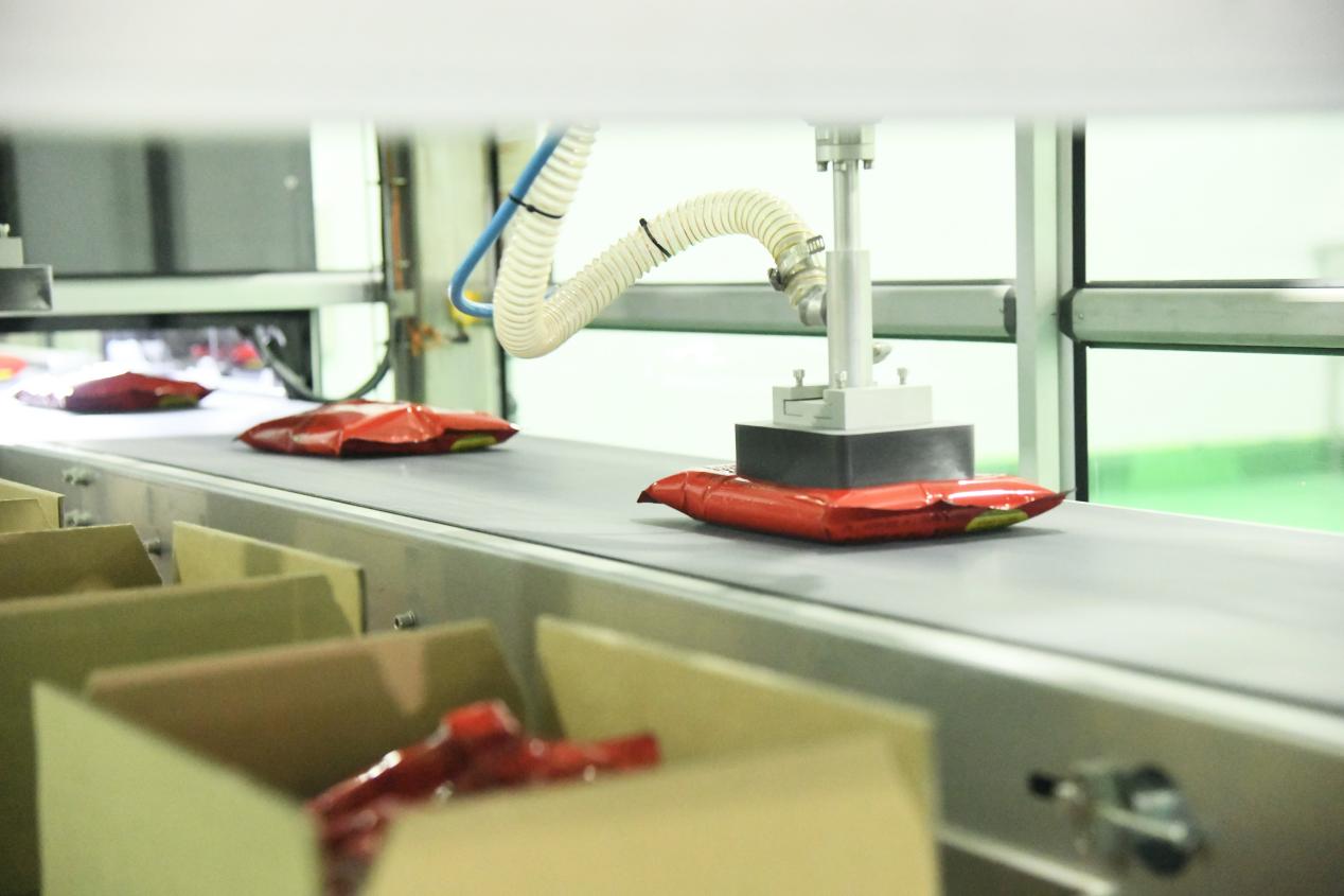 云顶集团4008激光喷码