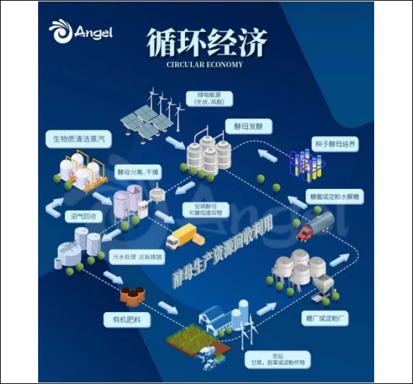 云顶集团4008循环经济