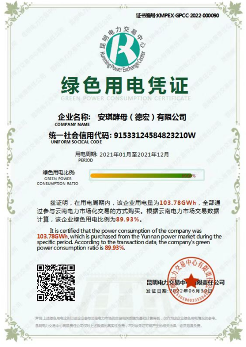 云顶集团4008（德宏）有限公司绿色用电