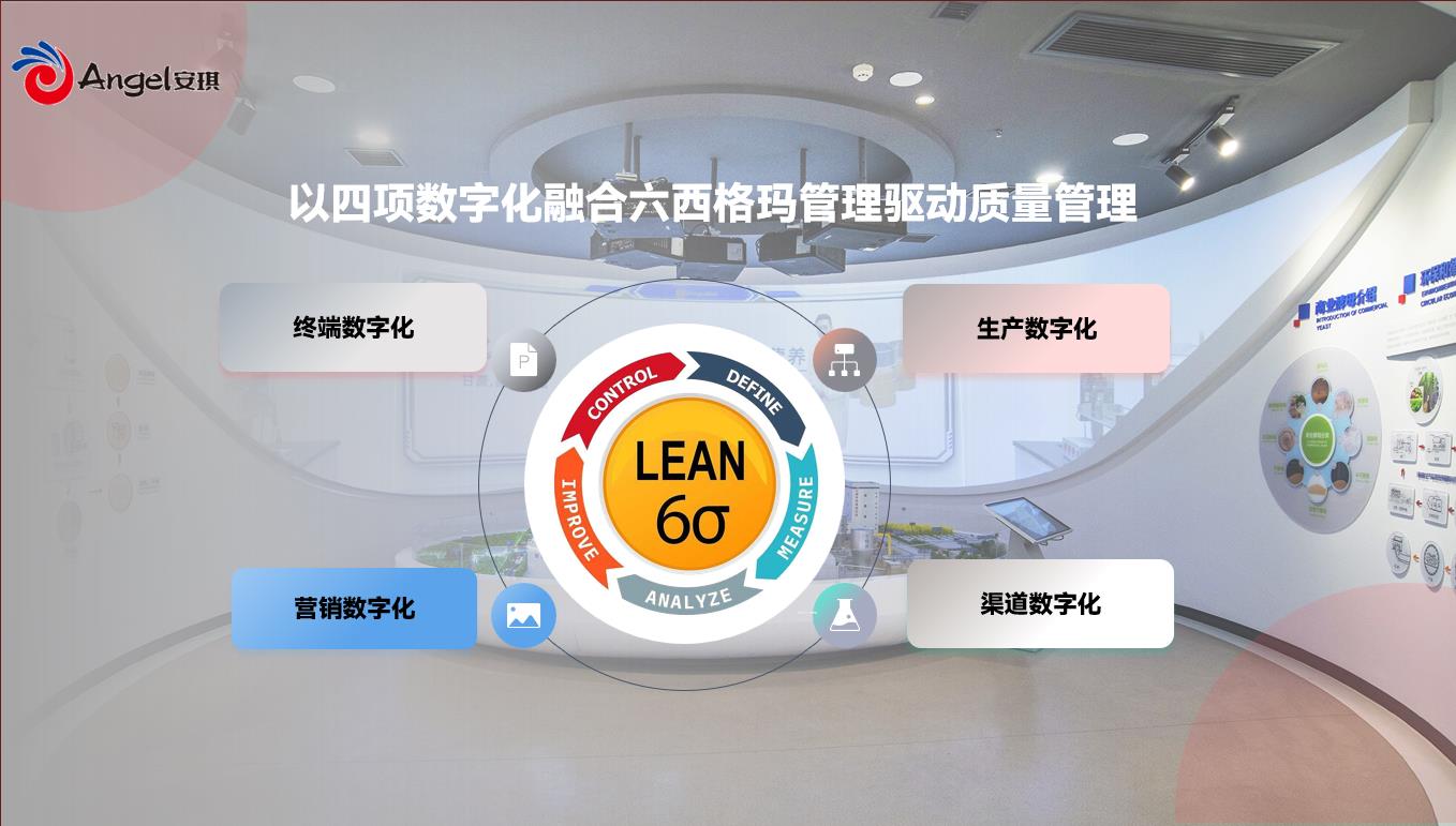 数智化4+6质量治理模式