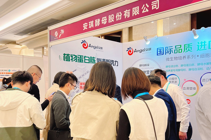 云顶集团4008展位现场