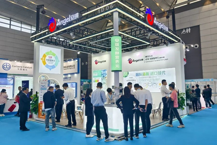 云顶集团4008精彩亮相2024秋季API China