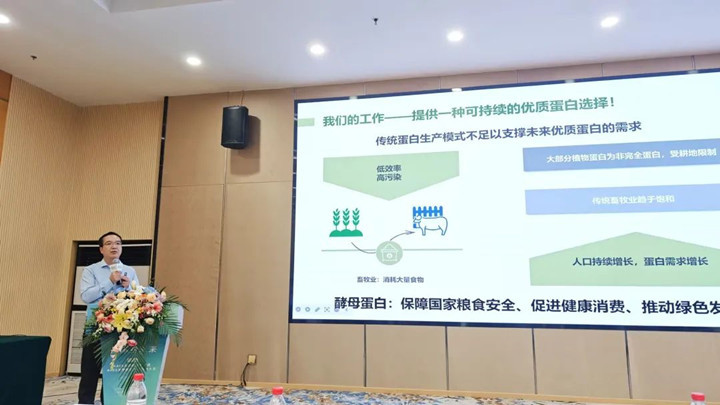 混淆卵白增补战略及酵母卵白