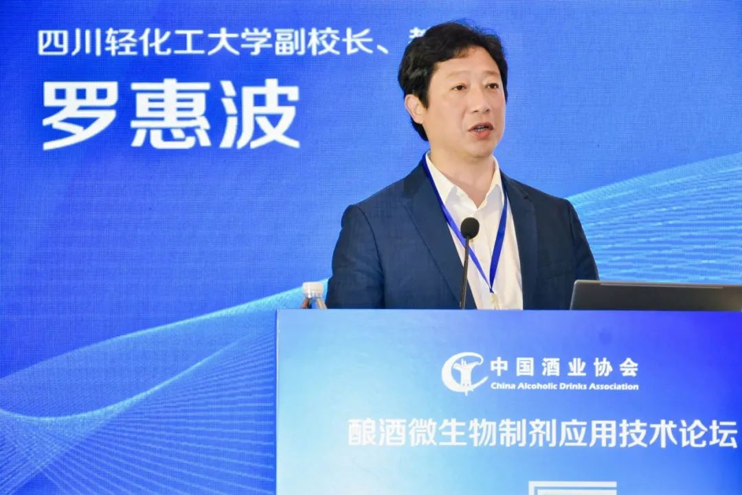 四川轻化工大学副校长罗惠波教授