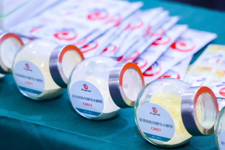 云顶集团4008卵白质营养