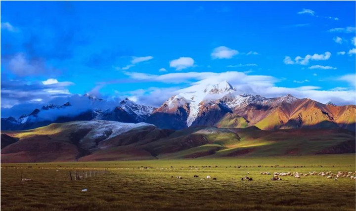 云顶集团4008珠峰公司乳酸菌工业化基地