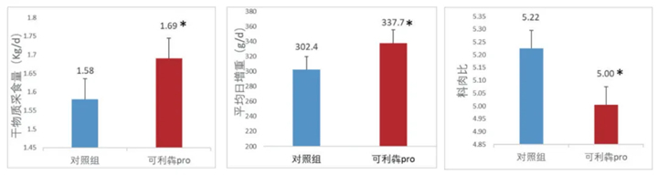 试验动物:500只湖羊；；试验时间60d