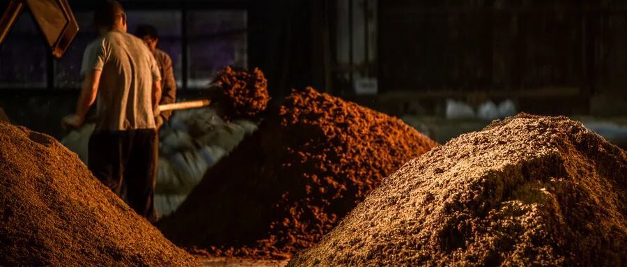 高温大曲：：：吡嗪类的 “孕育温床”