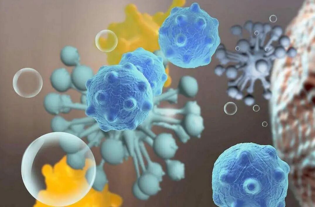 微生物菌剂的界说与焦点价值