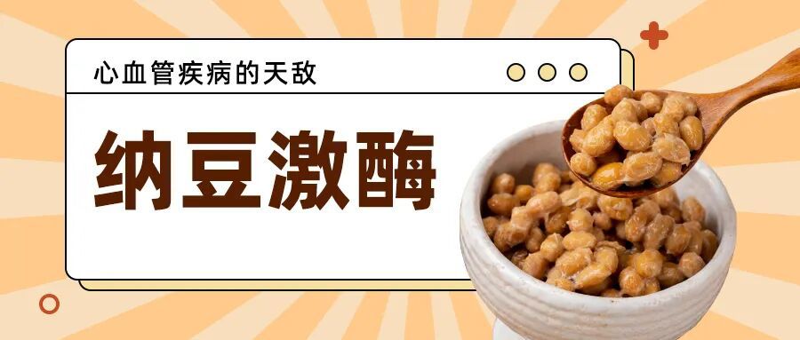 纳豆激酶(NK)作为强效纤溶和抗血栓剂