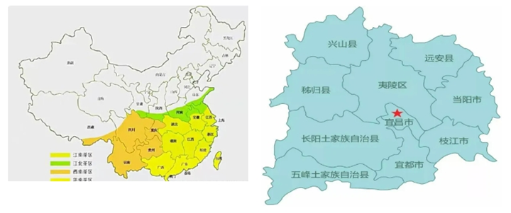 宜昌茶工业优势