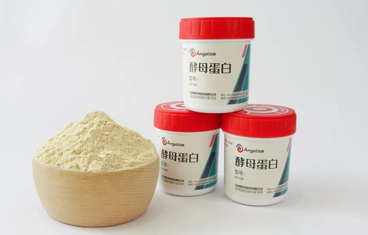 酵母卵白依附其奇异优势在卵白粉市场中脱颖而出