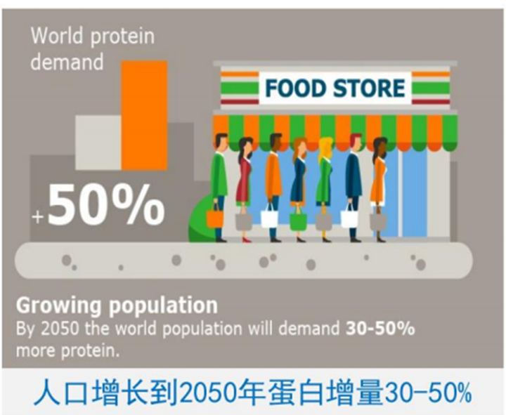 重大的卵白质缺口