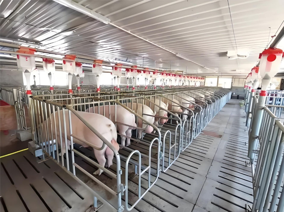 琪益酸 100 让环保与盈利并行