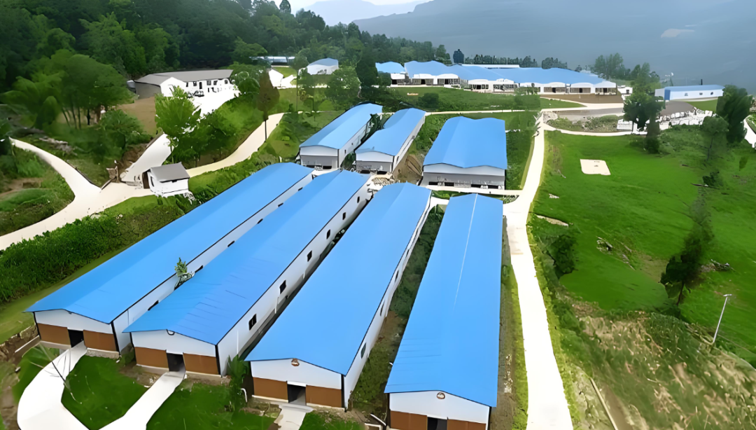 琪益酸100：：：环保减排