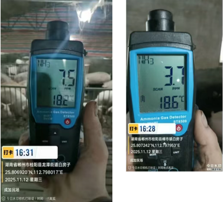 琪益酸组圈舍内平均氨气浓度