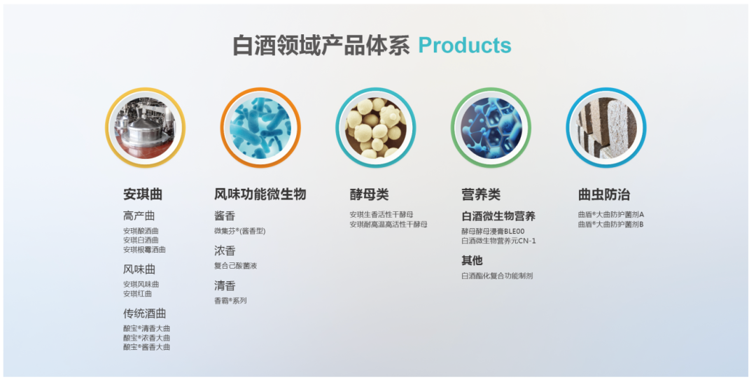 云顶集团4008呈现在新型工艺白酒