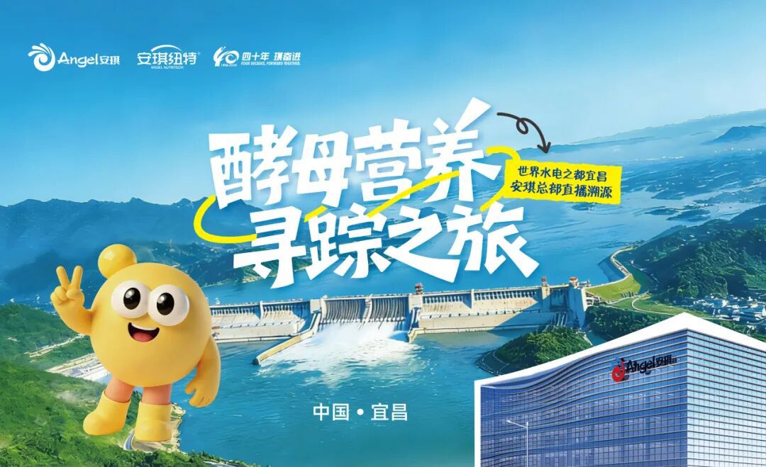 “酵母营养寻踪之旅”活动海报 “酵母营养寻踪之旅”活动海报