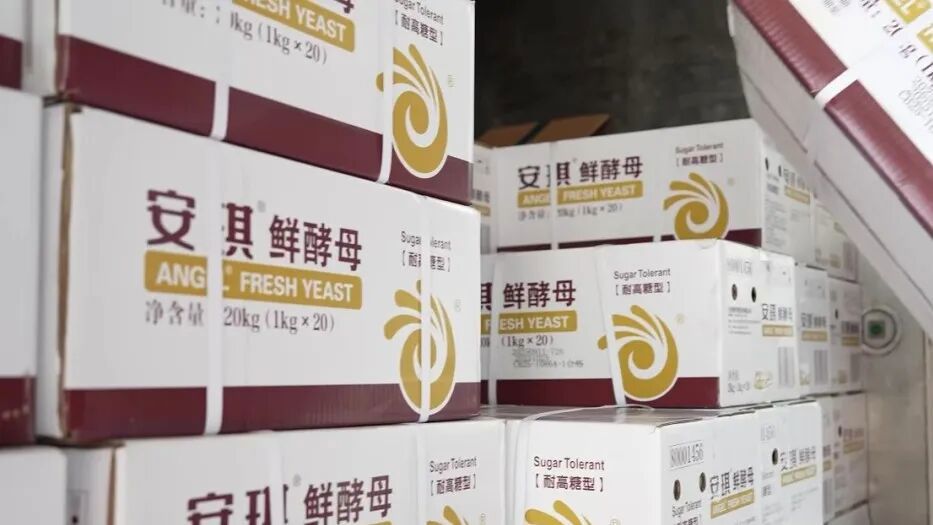 云顶集团4008(中国)官方网站