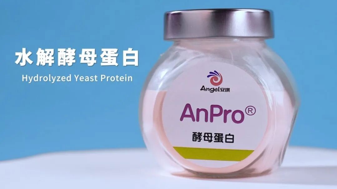 云顶集团4008AnPro?酵母卵白