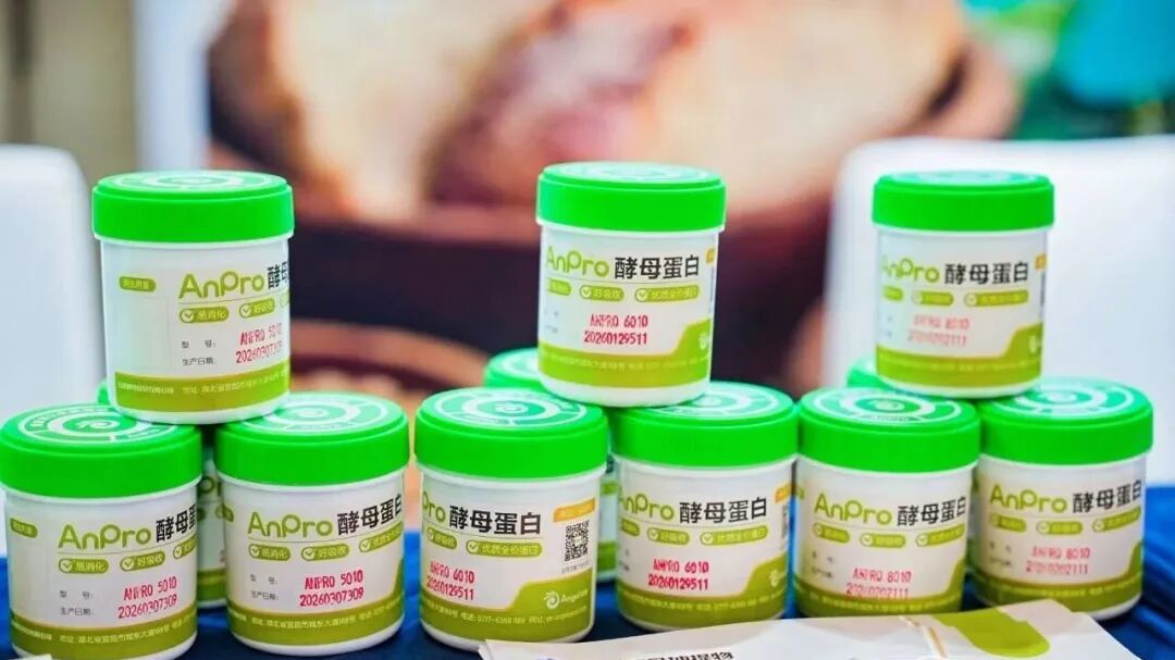 AnPro酵母卵白 AnPro酵母卵白