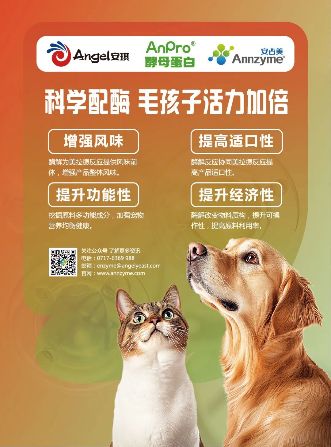 科学配酶，毛孩子活力加倍