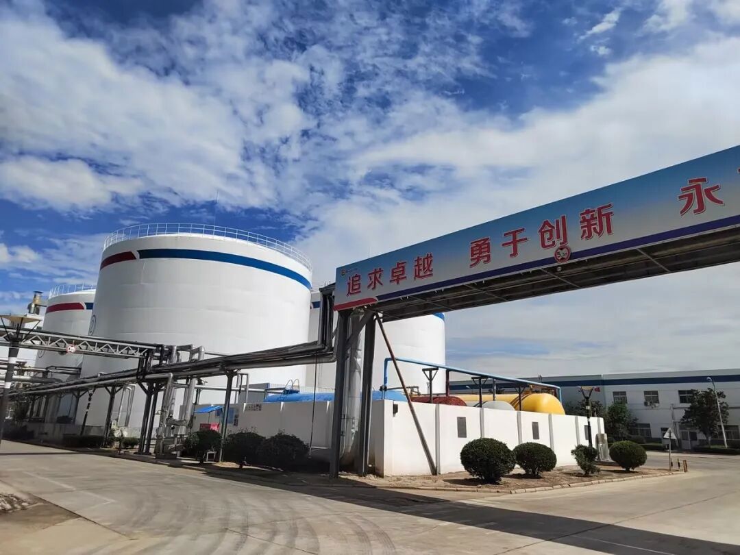济宁公司地区影响力一直增强 济宁公司地区影响力一直增强