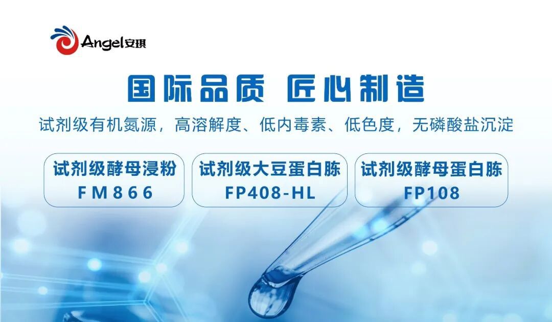 c81b50f7e006f6c c81b50f7e006f6c