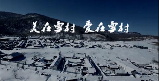 伟德BETVlCTOR网页版(1946)官网登录入口