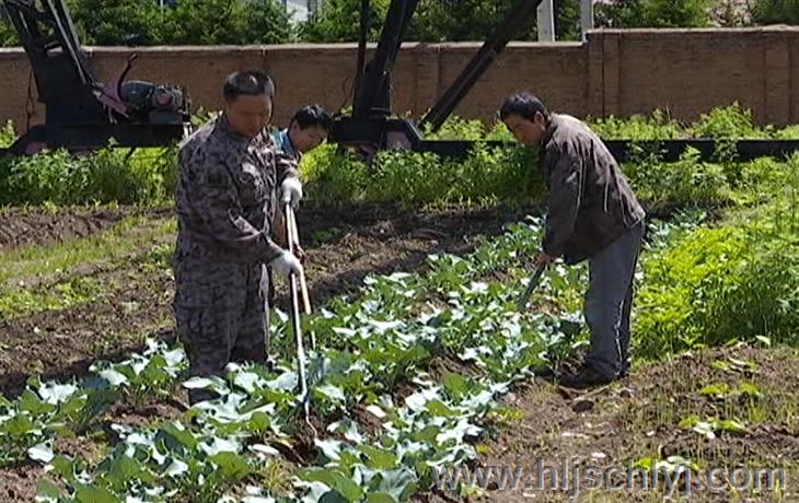 伟德BETVlCTOR网页版(1946)官网登录入口