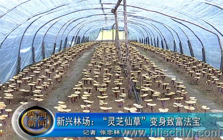 伟德BETVlCTOR网页版(1946)官网登录入口