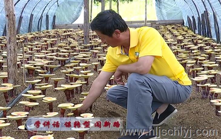 伟德BETVlCTOR网页版(1946)官网登录入口