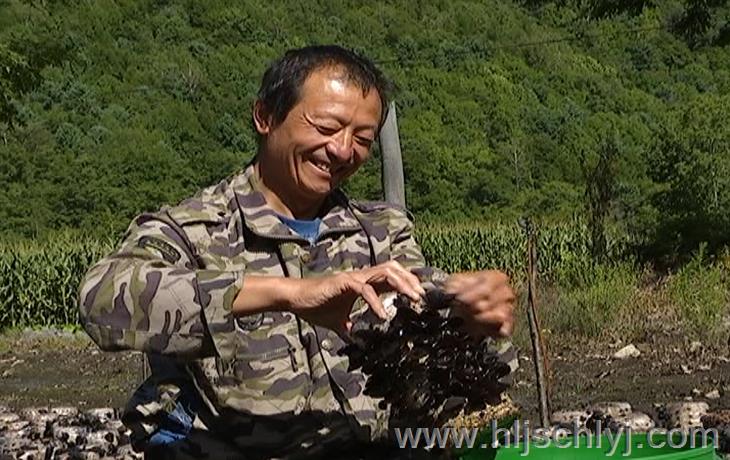 伟德BETVlCTOR网页版林业局红星林场