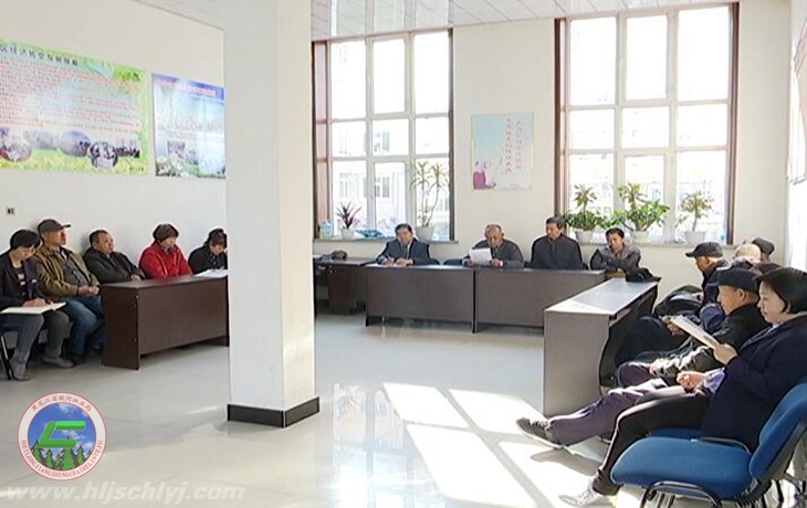 伟德BETVlCTOR网页版林业局团结社区