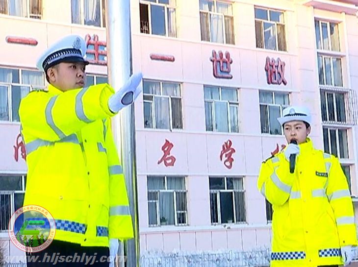 伟德BETVlCTOR网页版林业地区公安局交警大队