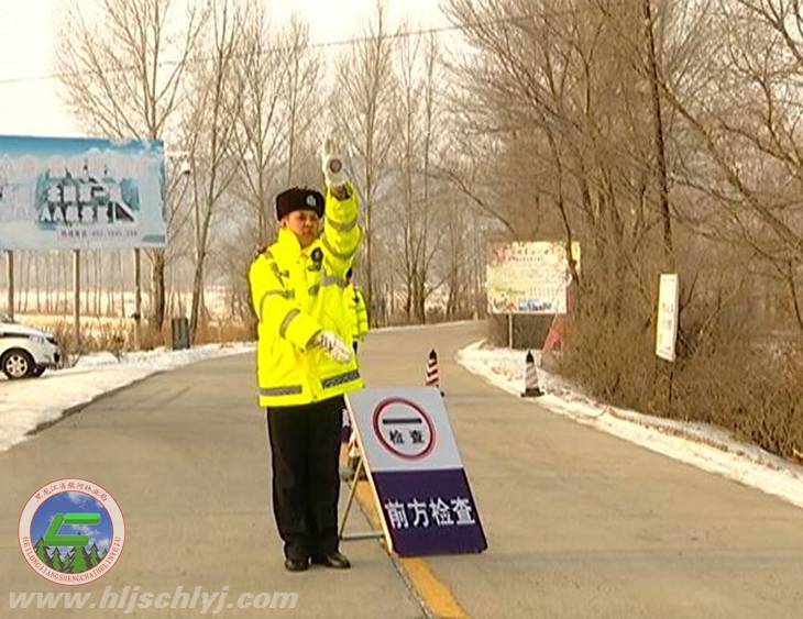 伟德BETVlCTOR网页版林业公安交警大队：管治交通保春运