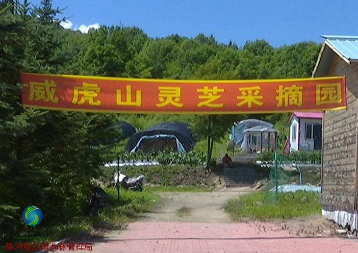 伟德BETVlCTOR网页版(1946)官网登录入口